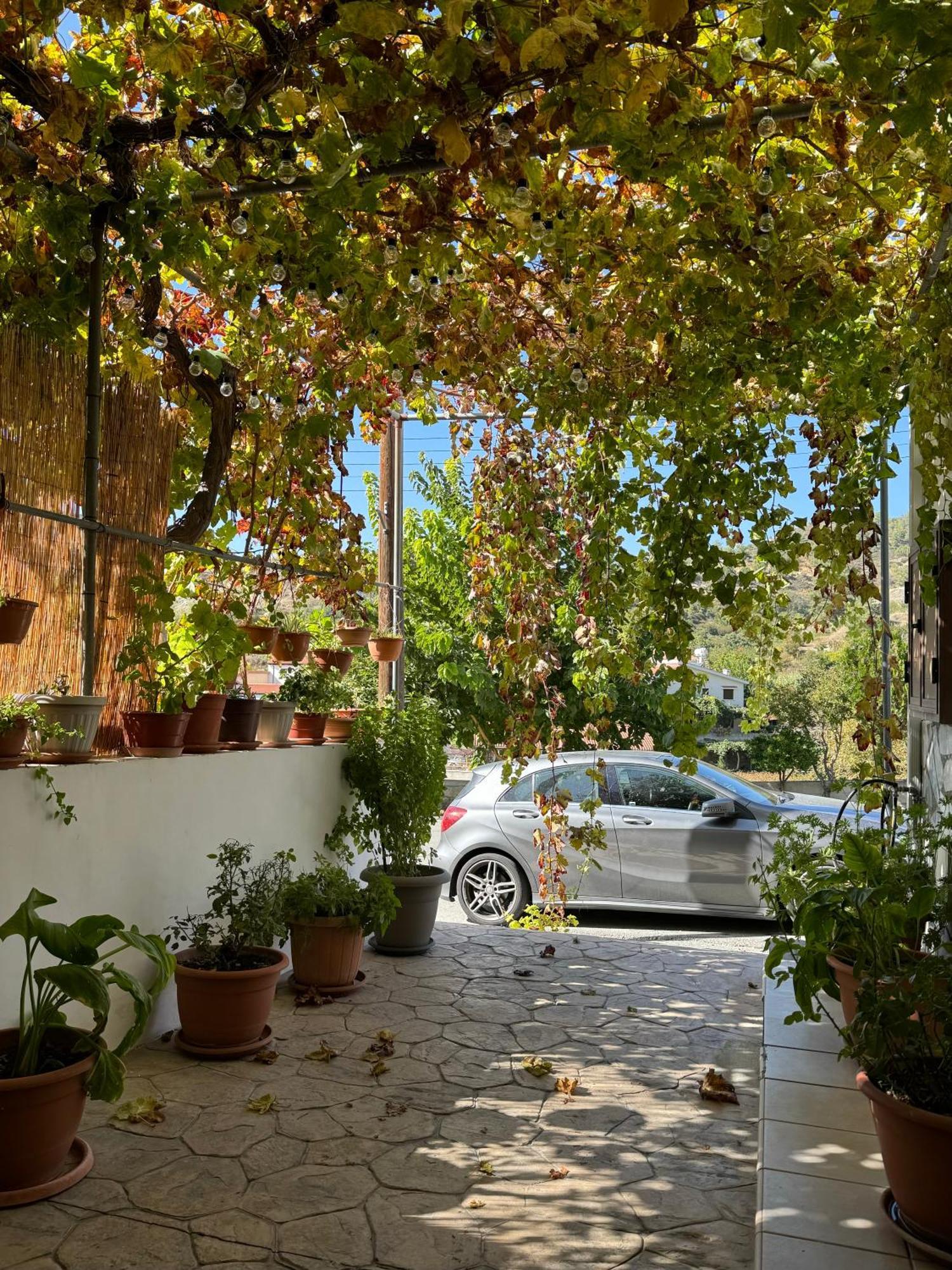 Στου Στεφανή Agros Exterior foto